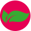 favicon.png